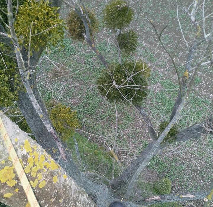 128879506_4402988486394387_4679221638499400353_n