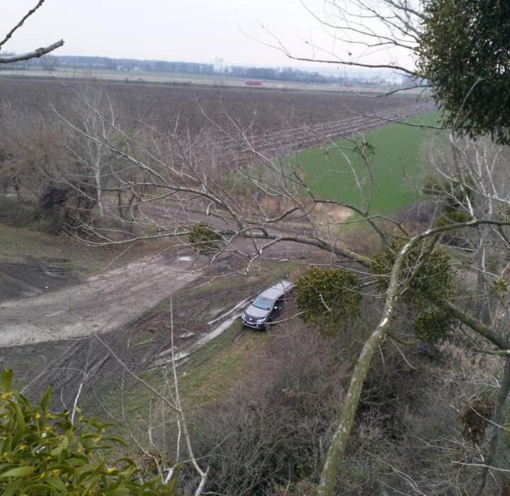 128973270_4402988379727731_3022186863128605185_n