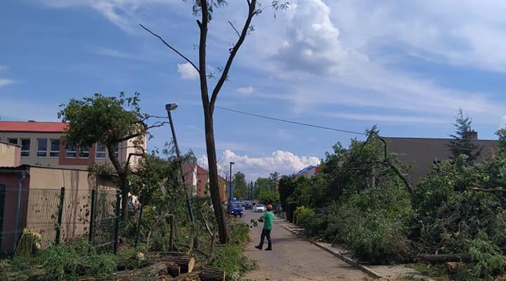 206858660_5026529974040232_539667975494088569_n