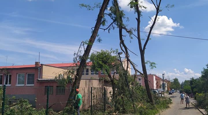 208759361_5026530057373557_5309114120208118668_n