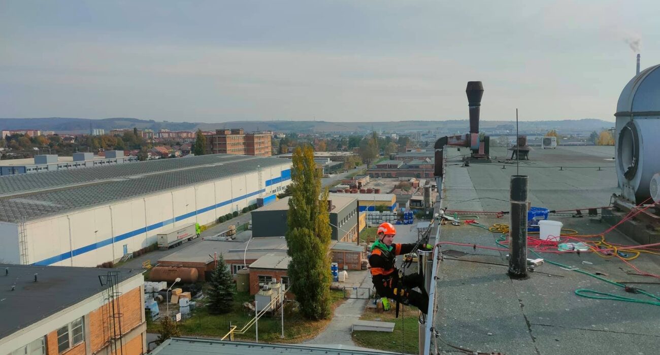 248227681_5412059518820607_8525557481349413273_n